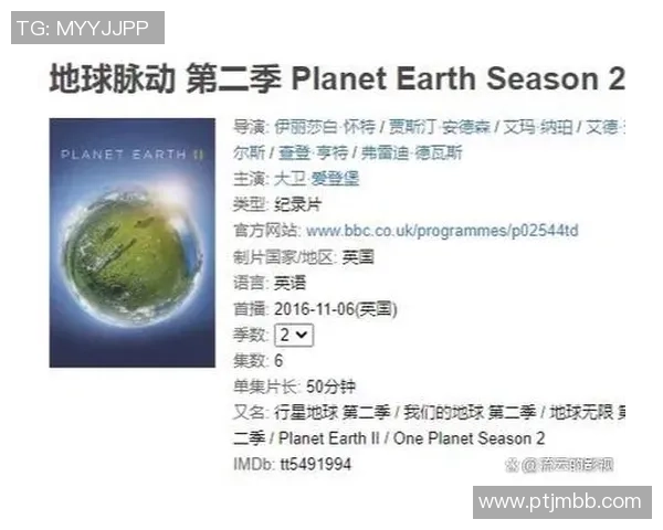 南京排球队的蜕变之旅：从传统到现代的全新探索与挑战