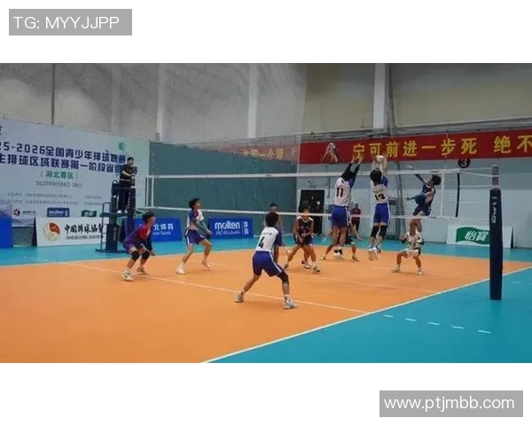 武汉排球队近期状态引发热议球迷对表现和战术产生分歧